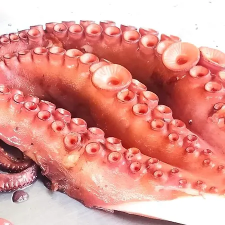 Apartment Vistazul Samil *