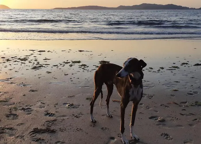 Apartmán Vistazul Samil *