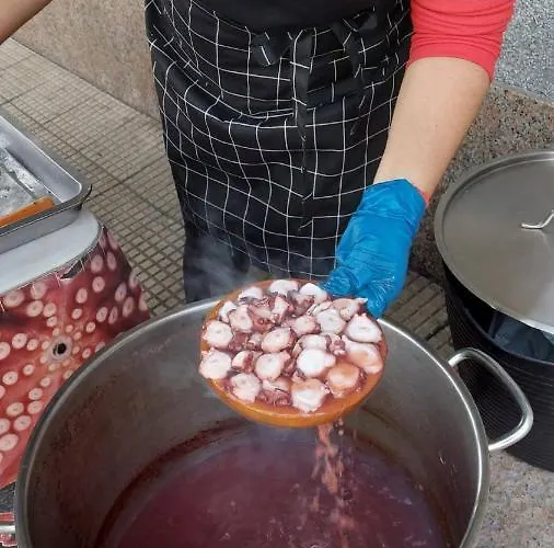 Vistazul Samil * ויגו